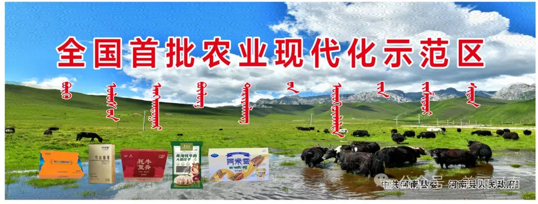 河南县教育局召开2026年初中学业水平模拟考试成绩分析会 精准复盘补短板 凝心聚力备中考 第5张