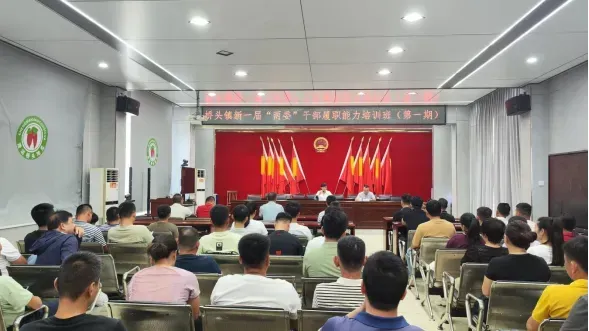 桥头镇开展行政执法资格考试第一次集中模拟考试及培训 第4张