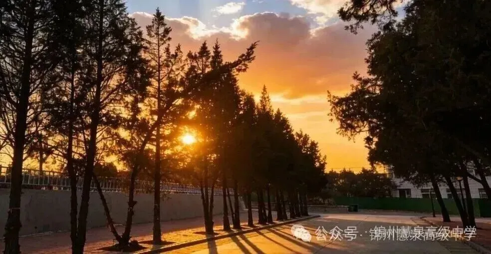 课本夹缝|中考的遗憾,慧泉帮你补全.三年后,我们大学见~ 第5张