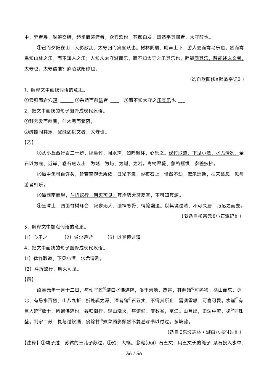 2026年最新版中考语文考前20天终极攻略,有完整电子版可打印,学霸学习好帮手,建议家长打印,学霸人手一份! 第35张