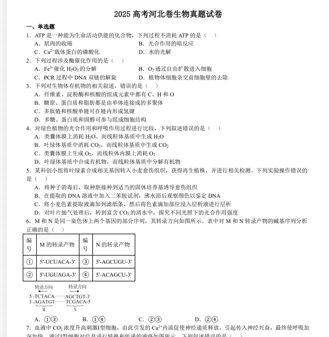 2025河北高考真+答案解析,含历年真题集,超全!(PDF完整版下载) 第5张