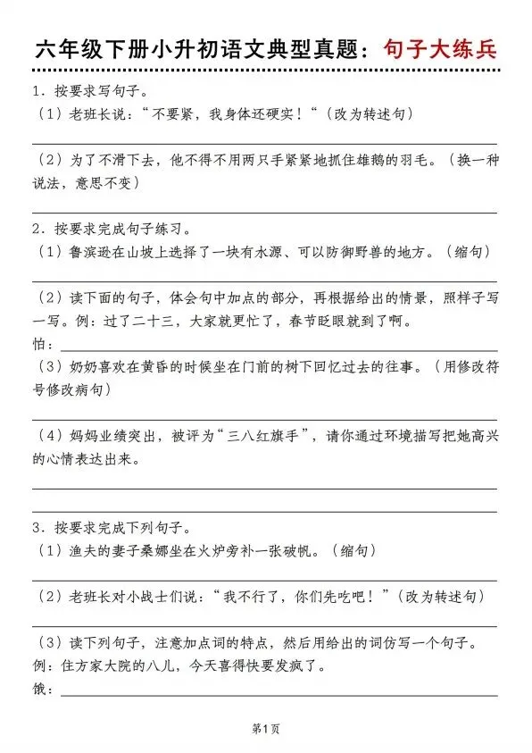 小升初语文典例真题·句子练习(含答案解析)完整电子版可打印 V72 第2张