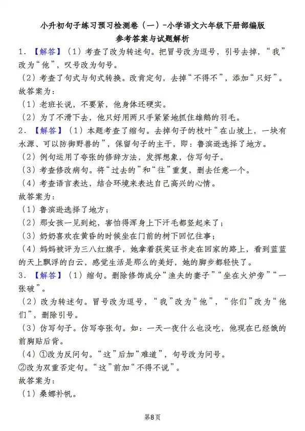 小升初语文典例真题·句子练习(含答案解析)完整电子版可打印 V72 第8张