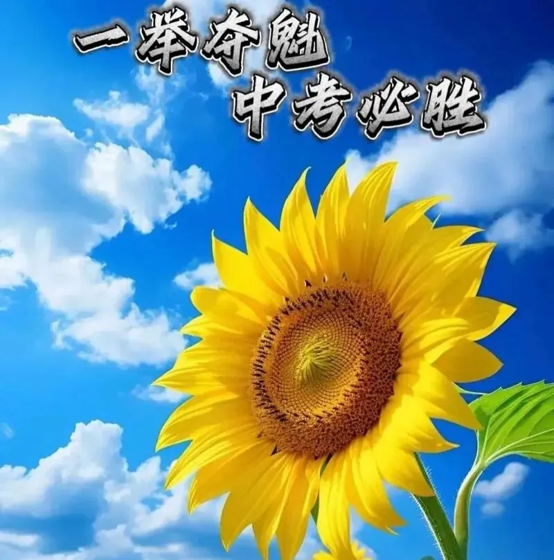 2026长春市中考招生政策大调整-第5张图片-四季读书网 2026长春市中考招生政策大调整-第5张图片-四季读书网