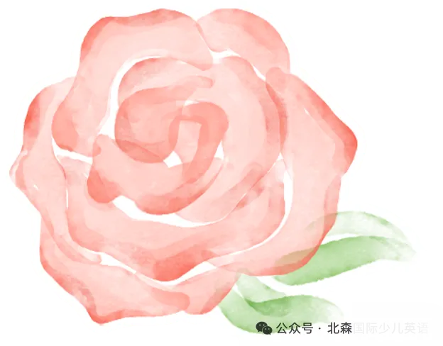 虹桥校二模试卷【数学】 第8张 虹桥校二模试卷【数学】 第8张