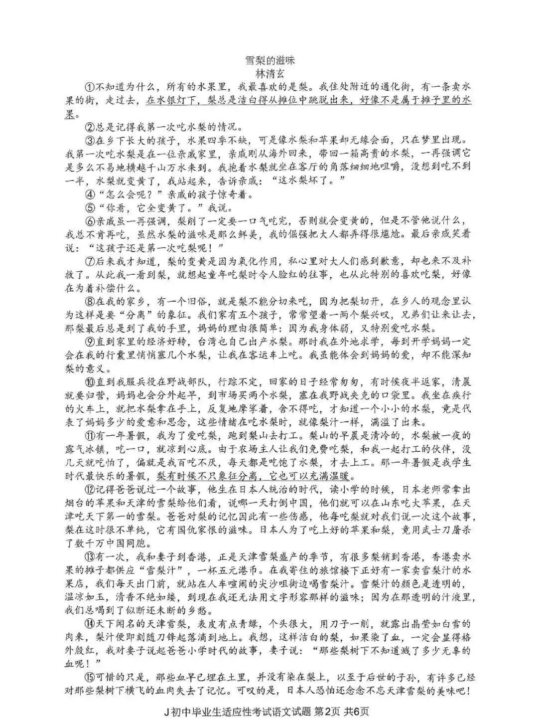 中考二模|2026年5月浙江省温州龙湾区、温州瑞安市、台州路桥区、台州椒江区二模试题(含答案) 第20张