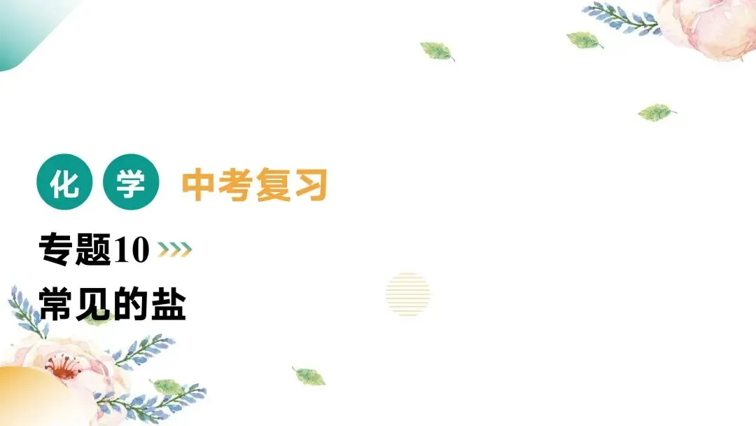 中考专题复习常见的盐 第1张
