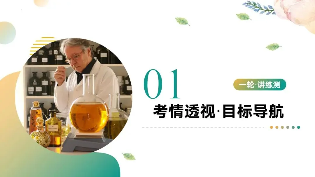中考专题复习常见的盐 第4张