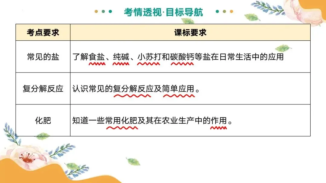 中考专题复习常见的盐 第5张