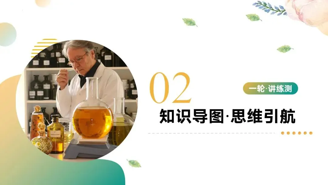 中考专题复习常见的盐 第7张