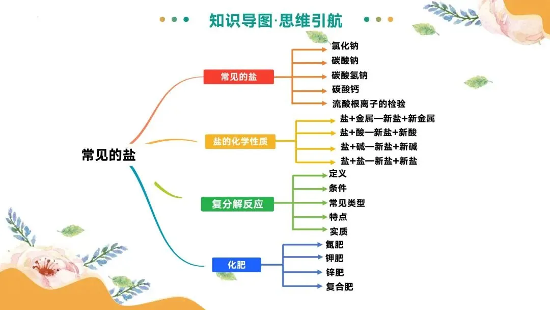中考专题复习常见的盐 第8张