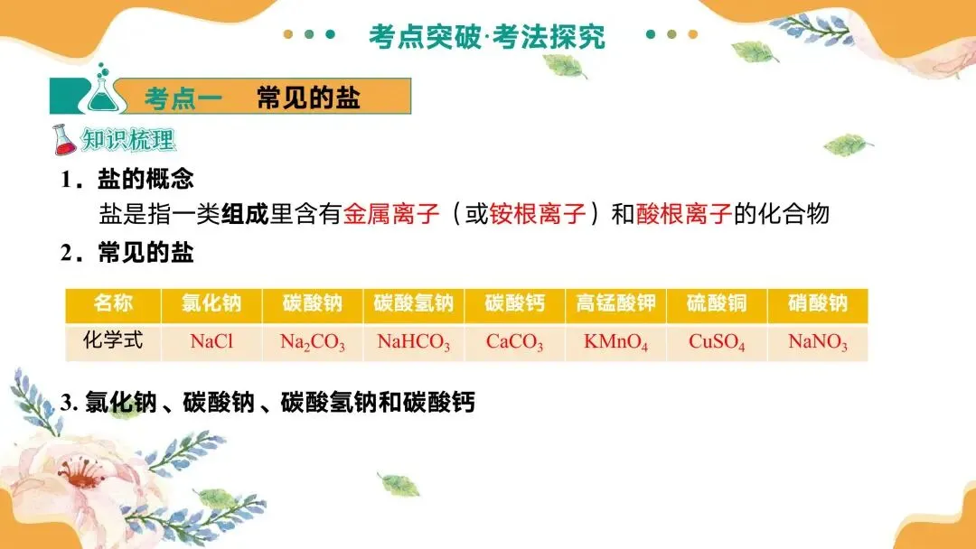 中考专题复习常见的盐 第10张