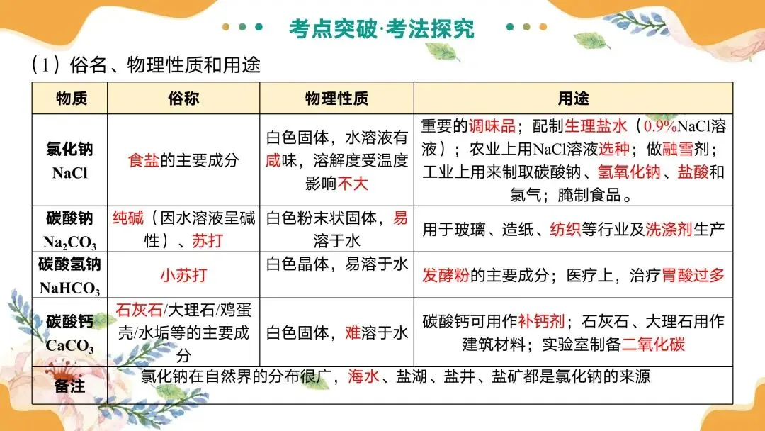 中考专题复习常见的盐 第11张