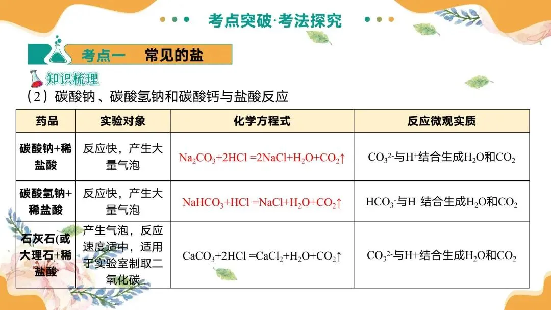 中考专题复习常见的盐 第12张