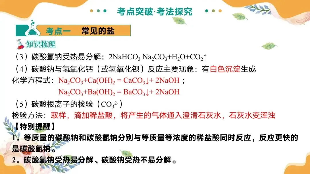 中考专题复习常见的盐 第13张
