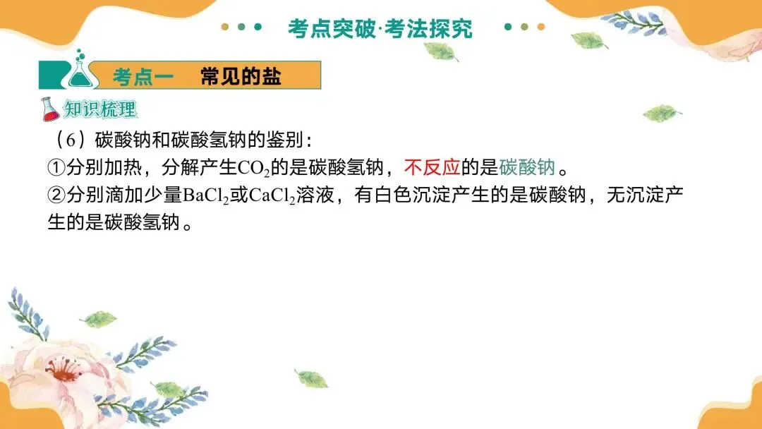 中考专题复习常见的盐 第14张