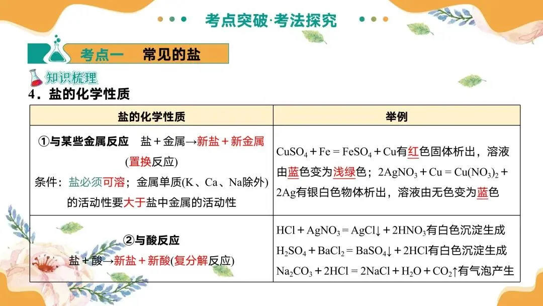 中考专题复习常见的盐 第15张