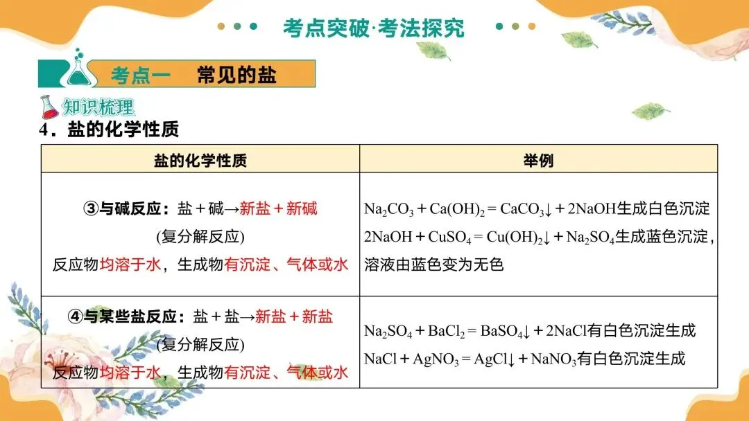 中考专题复习常见的盐 第16张