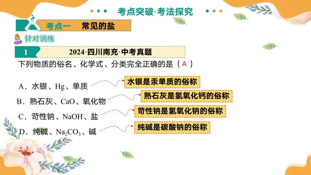 中考专题复习常见的盐 第18张