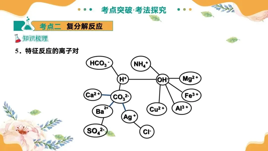 中考专题复习常见的盐 第24张