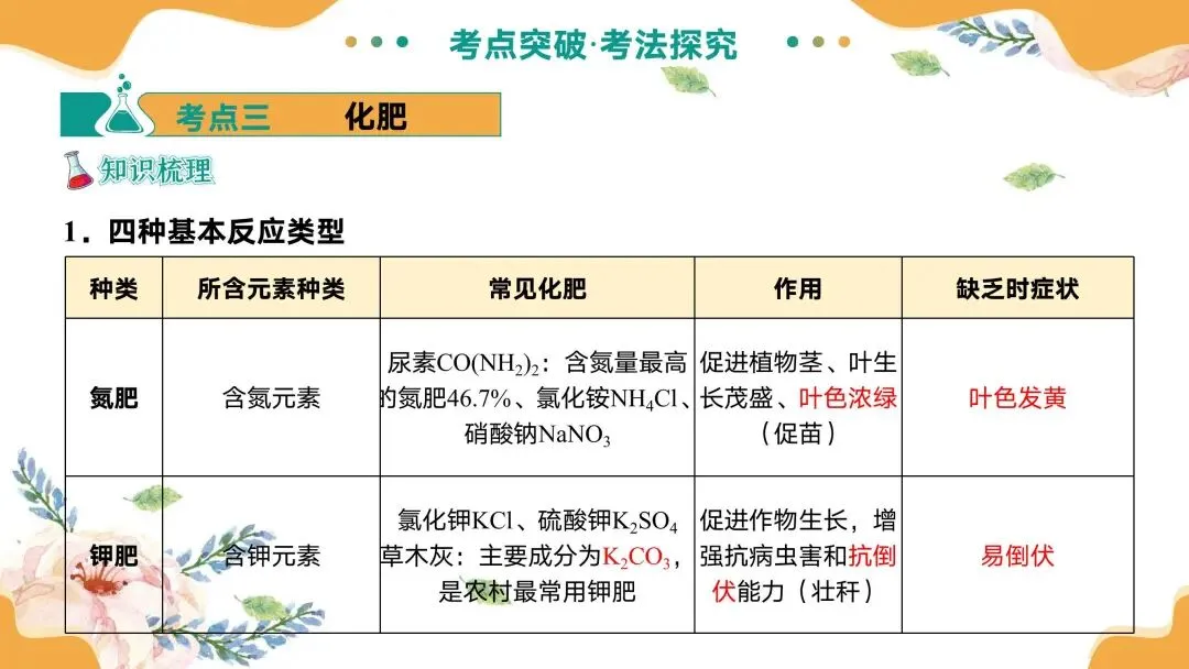 中考专题复习常见的盐 第28张