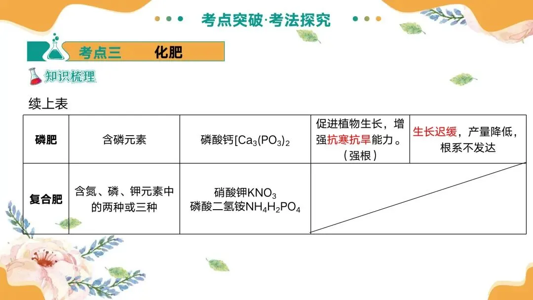 中考专题复习常见的盐 第29张