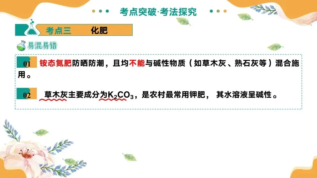 中考专题复习常见的盐 第30张