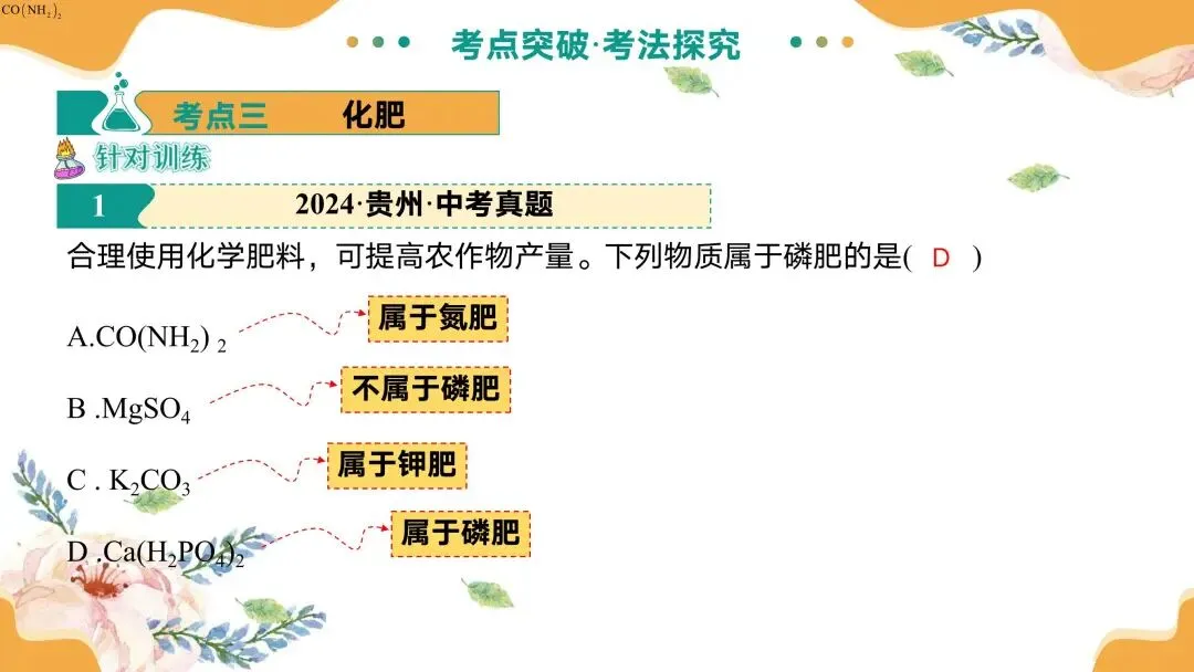 中考专题复习常见的盐 第31张