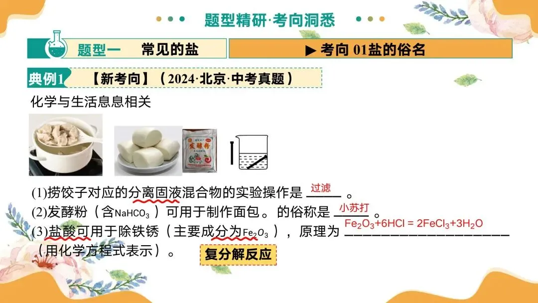 中考专题复习常见的盐 第33张