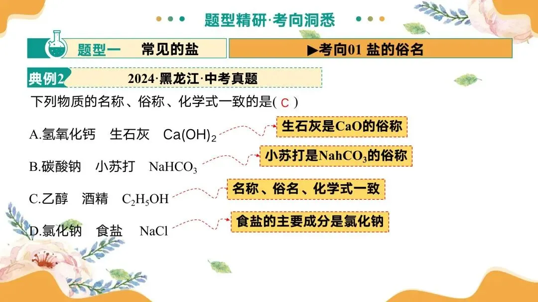 中考专题复习常见的盐 第34张