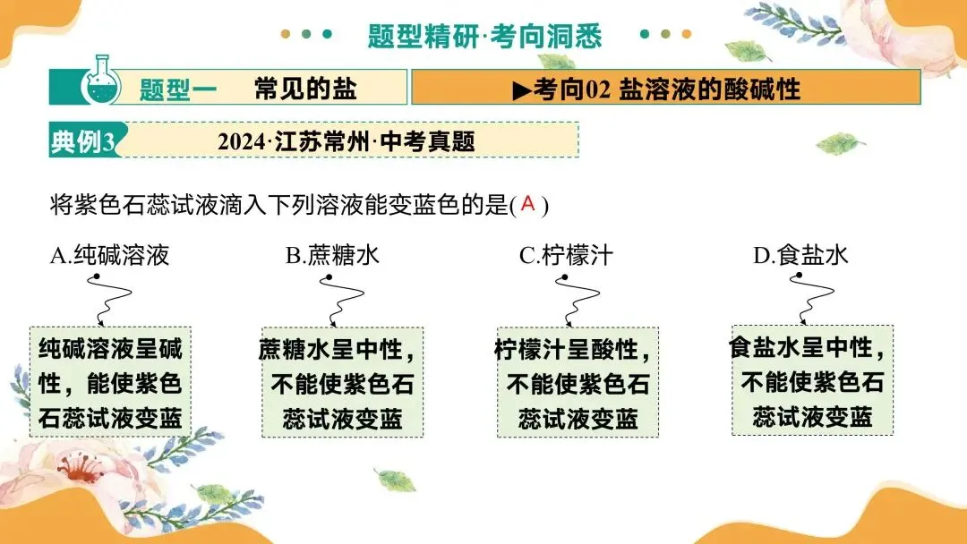 中考专题复习常见的盐 第35张