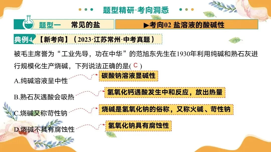 中考专题复习常见的盐 第36张
