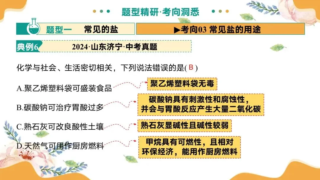 中考专题复习常见的盐 第38张