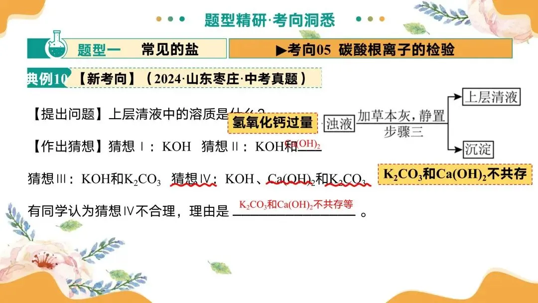 中考专题复习常见的盐 第41张