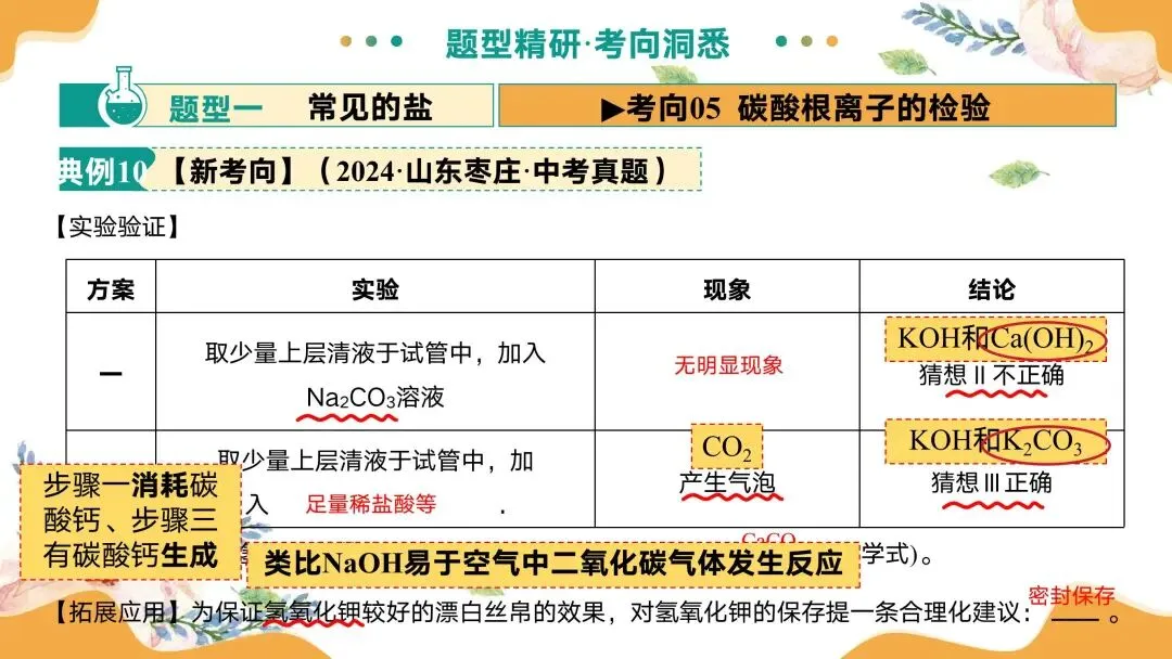 中考专题复习常见的盐 第42张