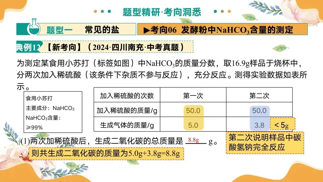 中考专题复习常见的盐 第45张