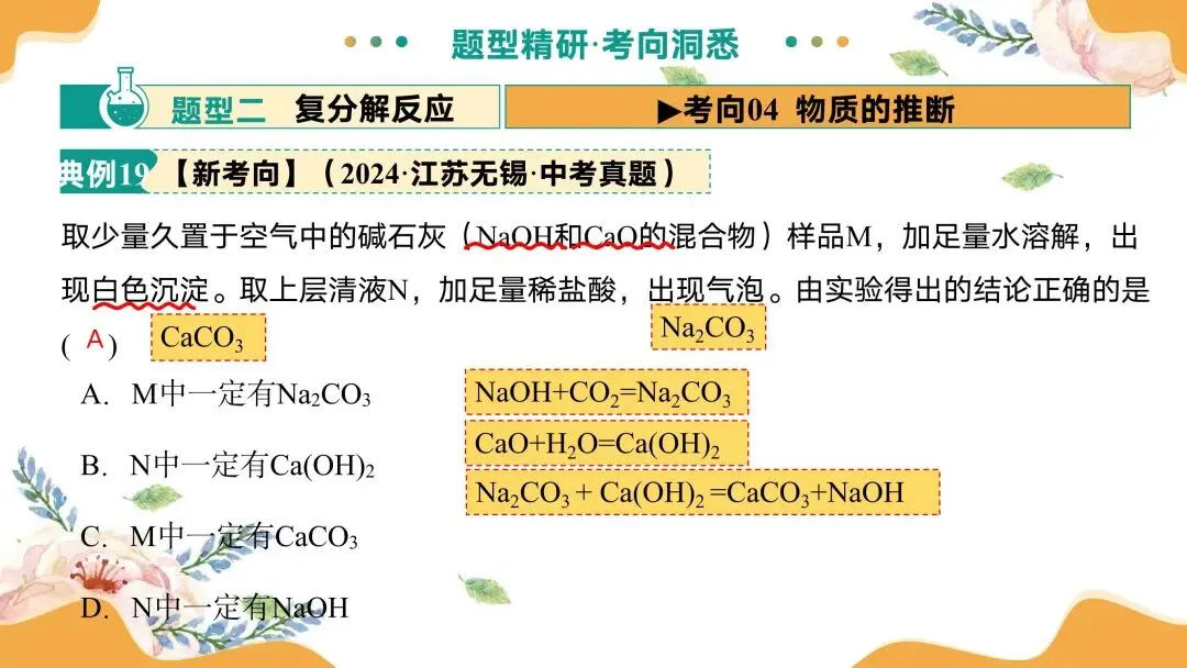 中考专题复习常见的盐 第53张