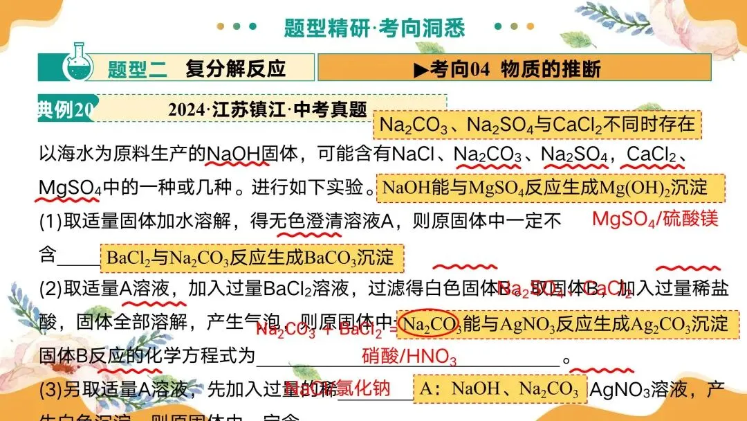 中考专题复习常见的盐 第54张