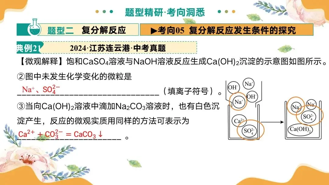 中考专题复习常见的盐 第59张