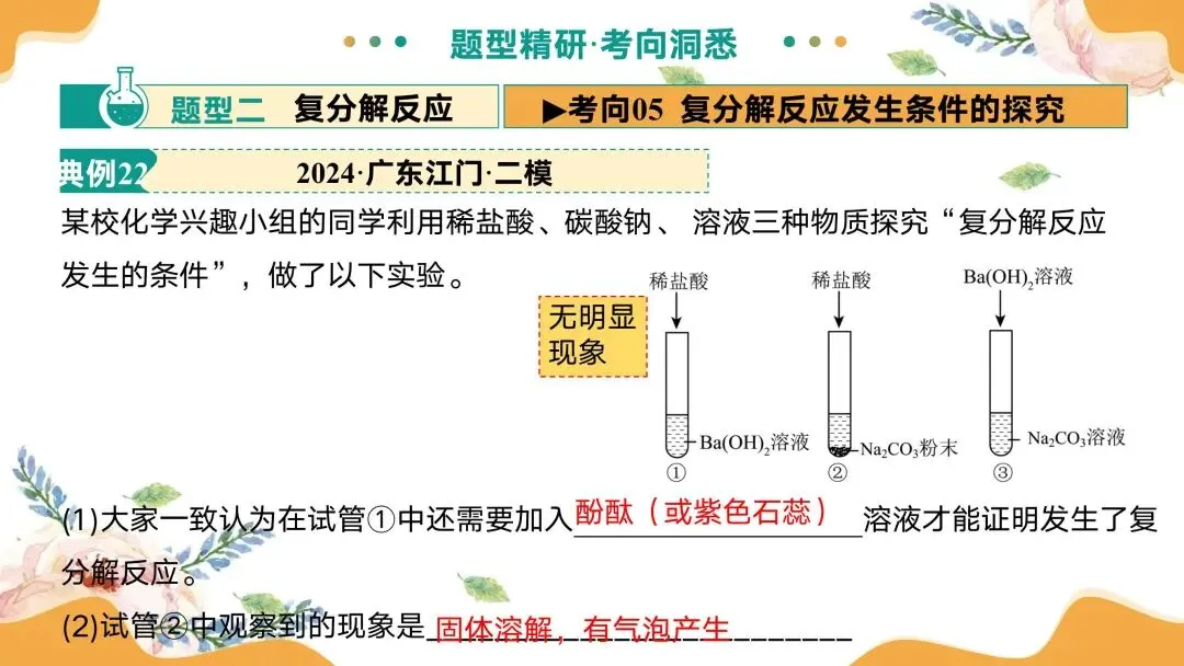 中考专题复习常见的盐 第61张
