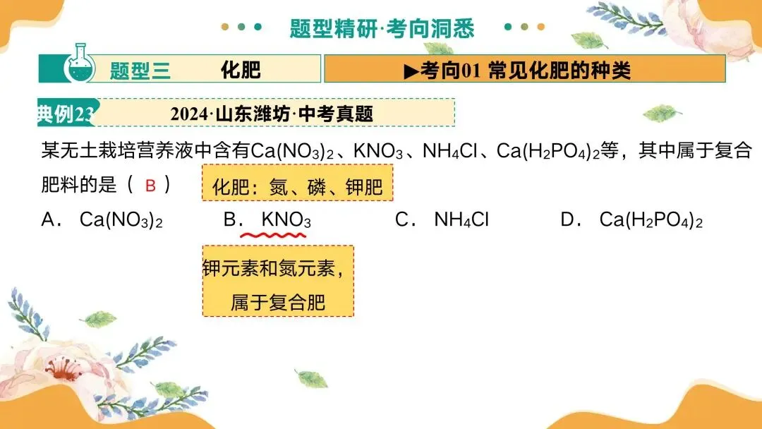 中考专题复习常见的盐 第64张
