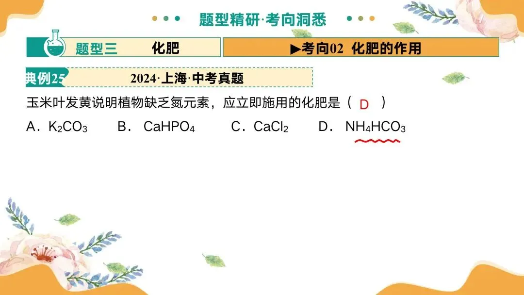中考专题复习常见的盐 第66张