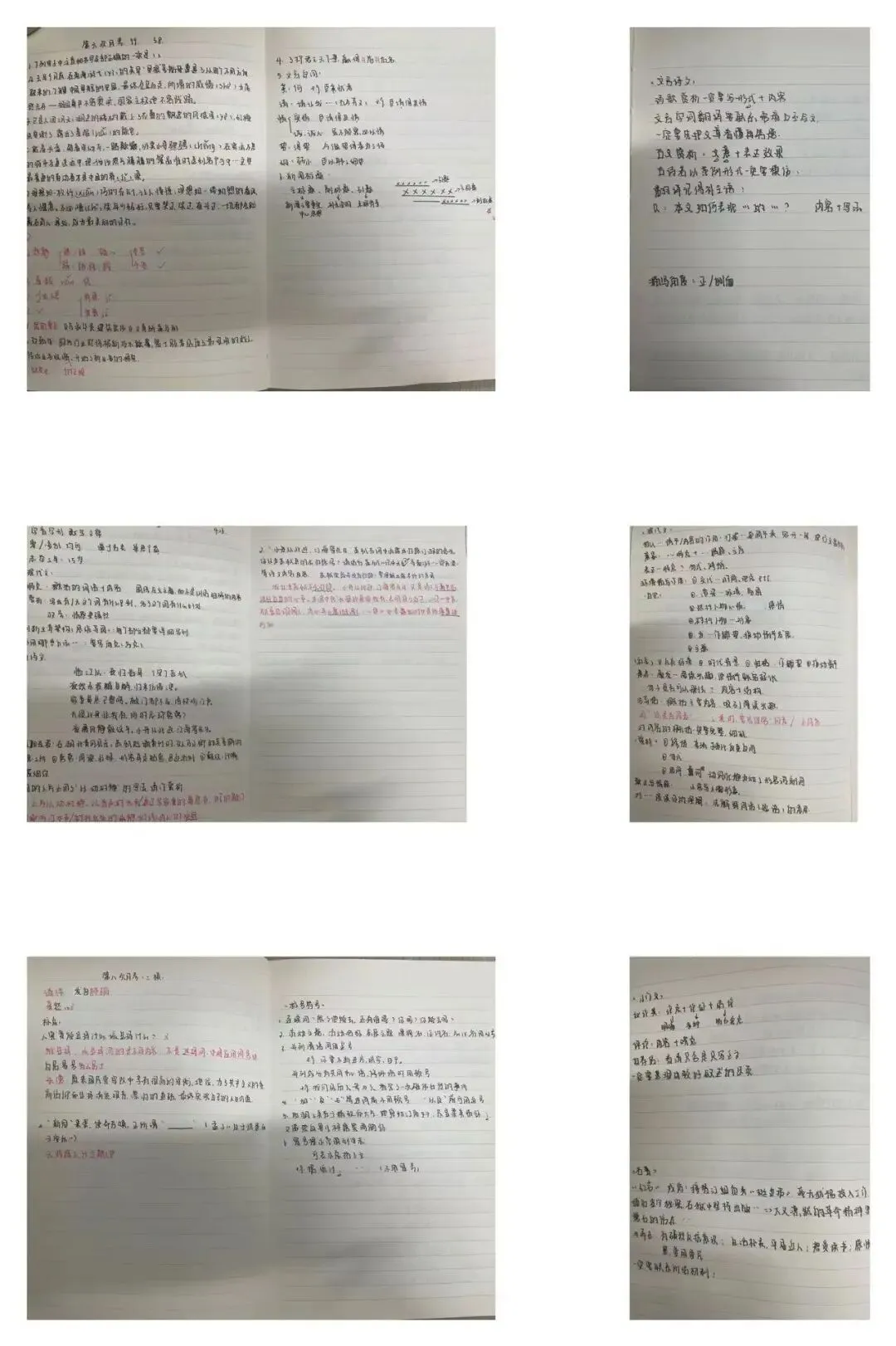 【中考】中考倒计时,语文都做了什么 第1张