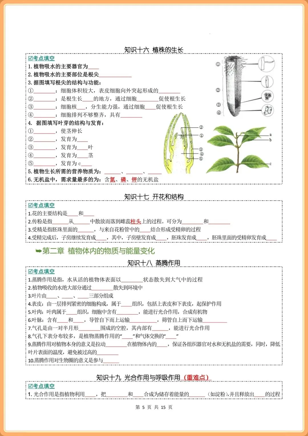 2026年中考生物核心知识考点重难点(背诵版+默写版),电子版可打印! 第5张