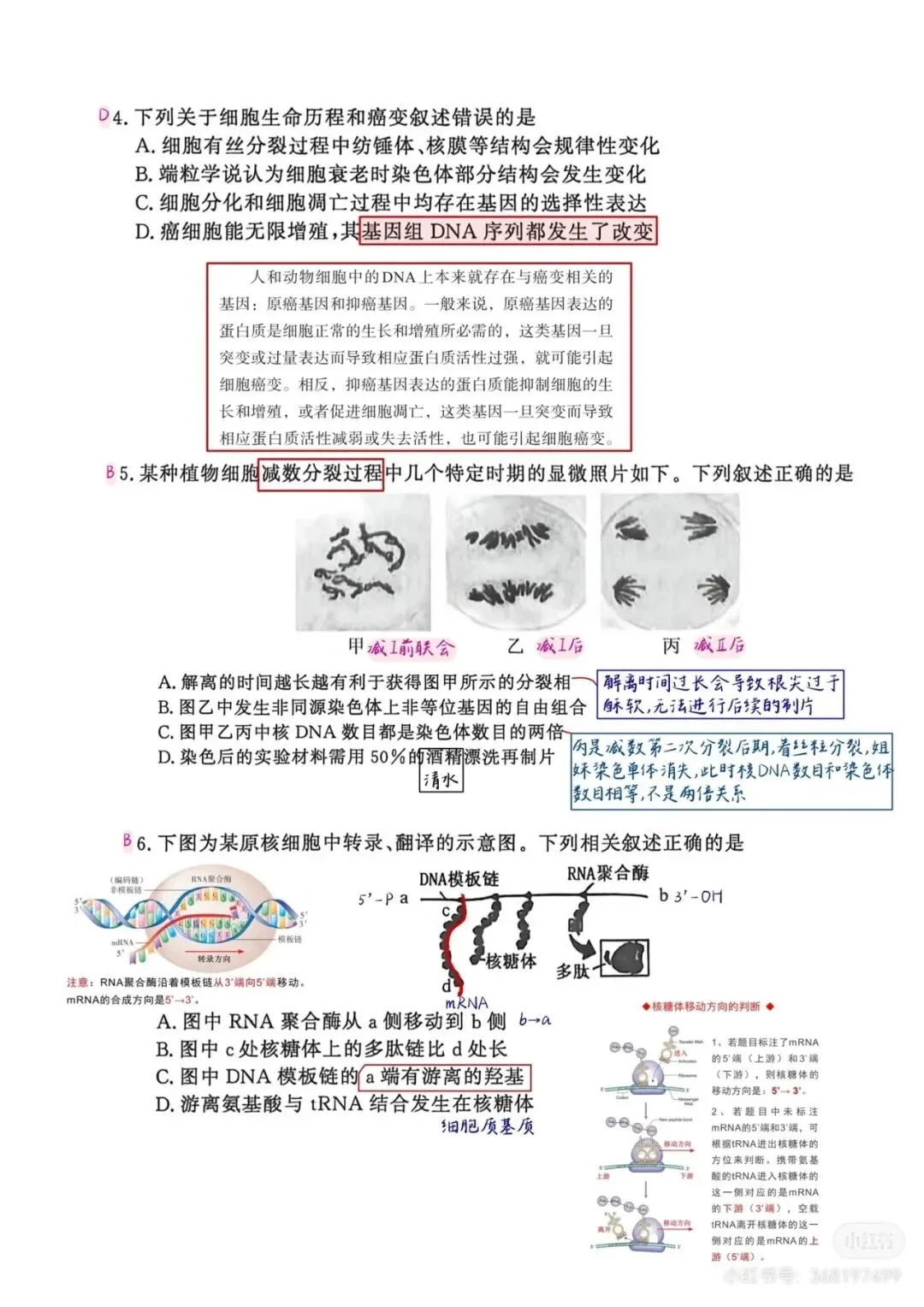 2026年南京高三第二次模拟考试生物试卷详细解析 第5张