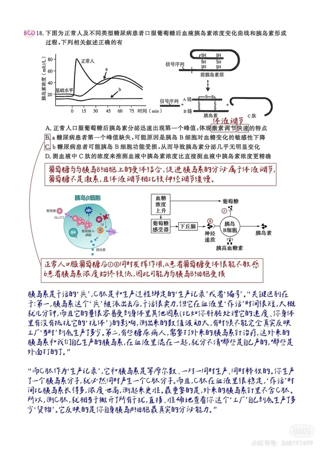 2026年南京高三第二次模拟考试生物试卷详细解析 第10张