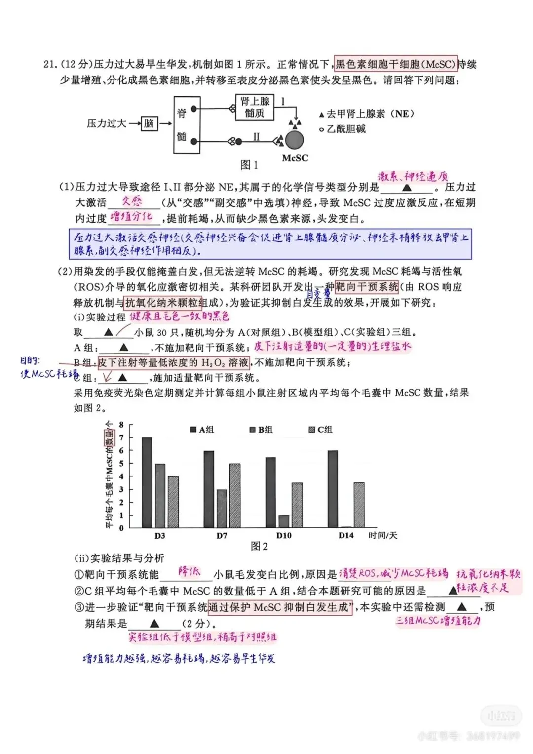2026年南京高三第二次模拟考试生物试卷详细解析 第13张