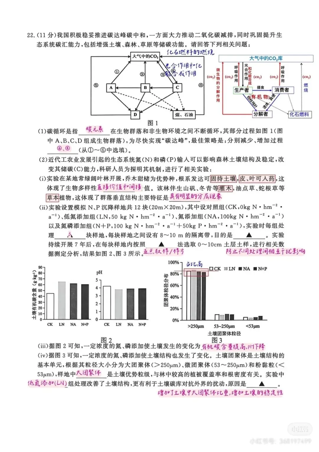 2026年南京高三第二次模拟考试生物试卷详细解析 第14张