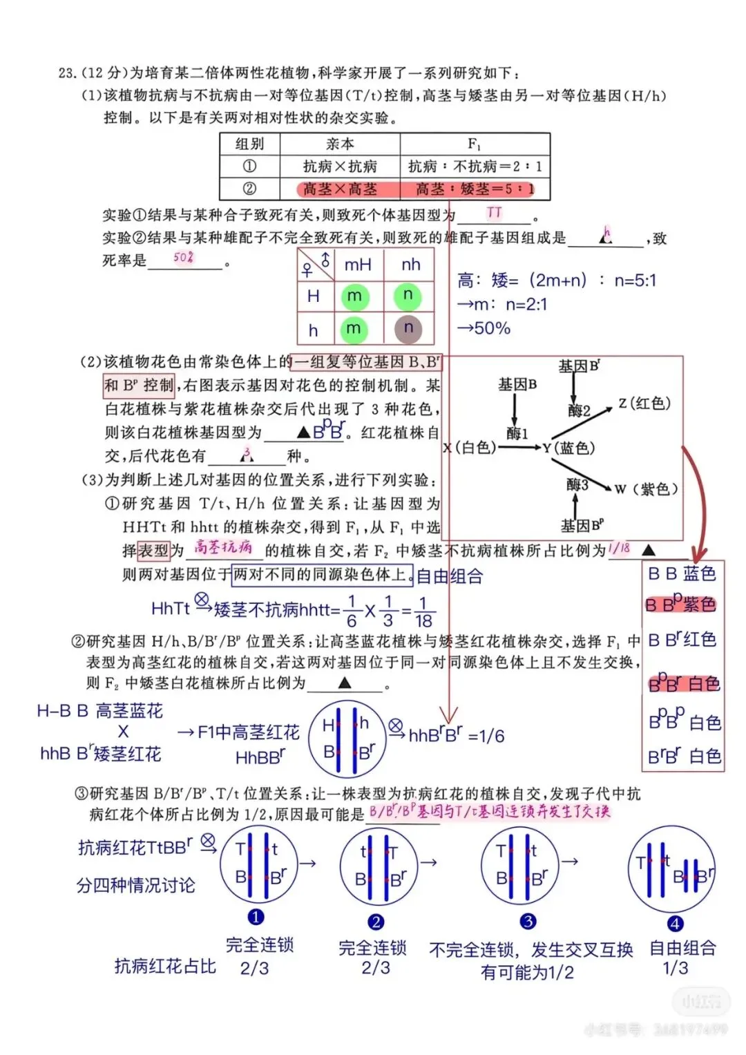 2026年南京高三第二次模拟考试生物试卷详细解析 第15张