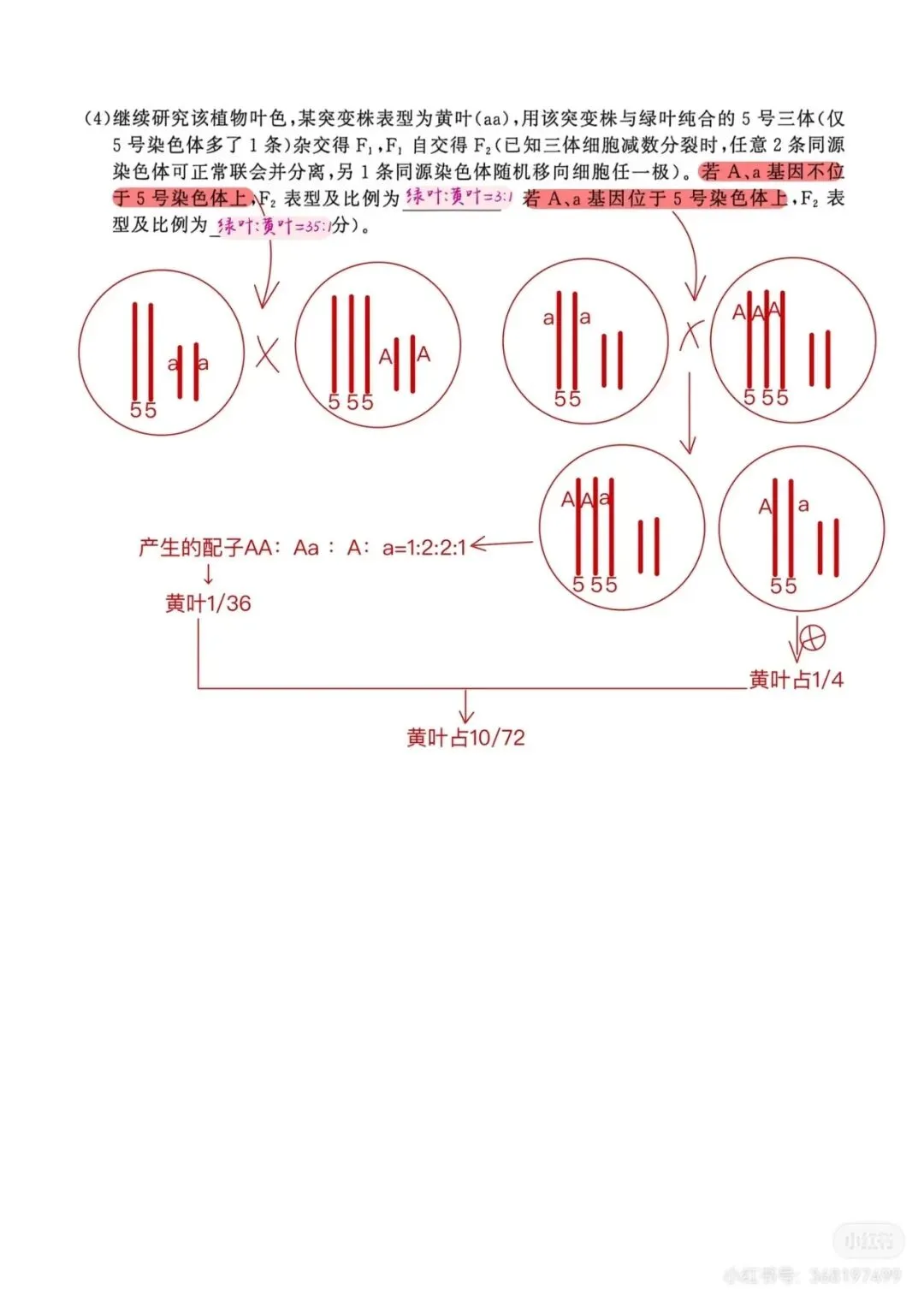 2026年南京高三第二次模拟考试生物试卷详细解析 第16张